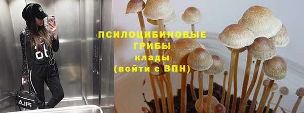 прущие грибы Фёдоровский