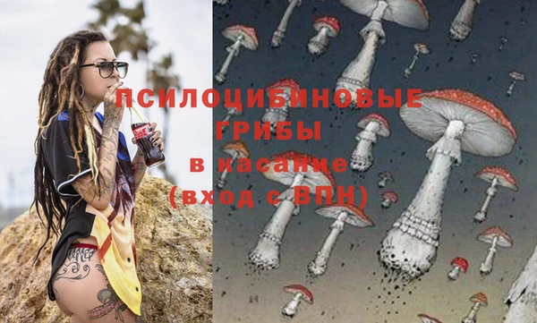 хмурый Калининец