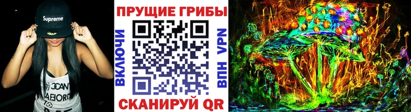 дарнет шоп  Касли  Галлюциногенные грибы Cubensis 